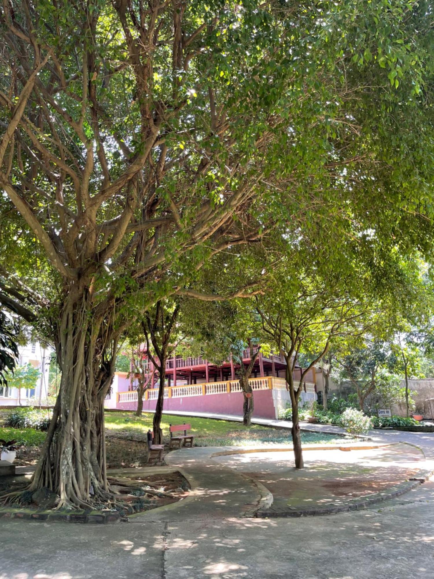 Thien Binh Hotel Hòa Bình Extérieur photo